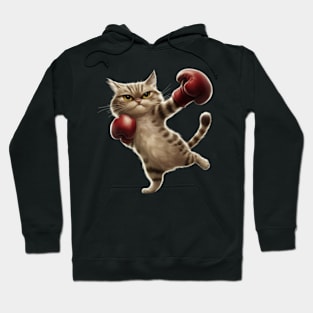 Boxing Cat Boxer Funny Cat Graphic Hoodie